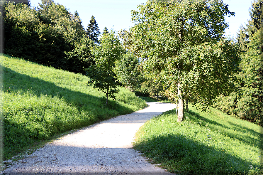 foto Strada delle Penise